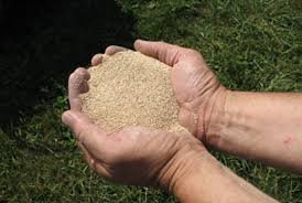 Corn Cob Grit